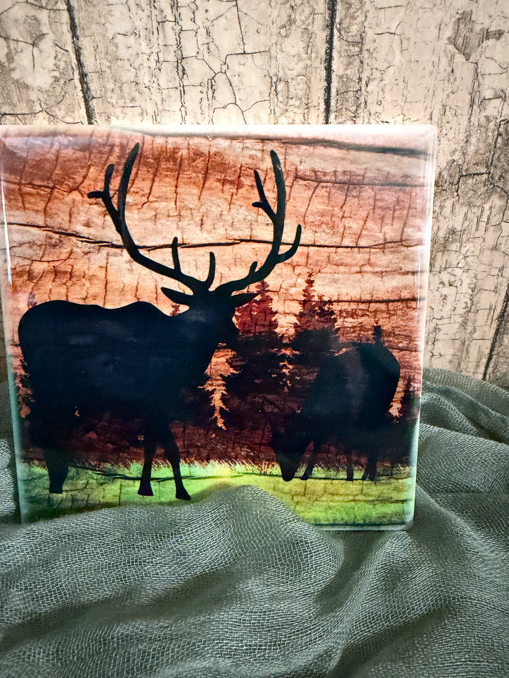 2 piece Coaster Set